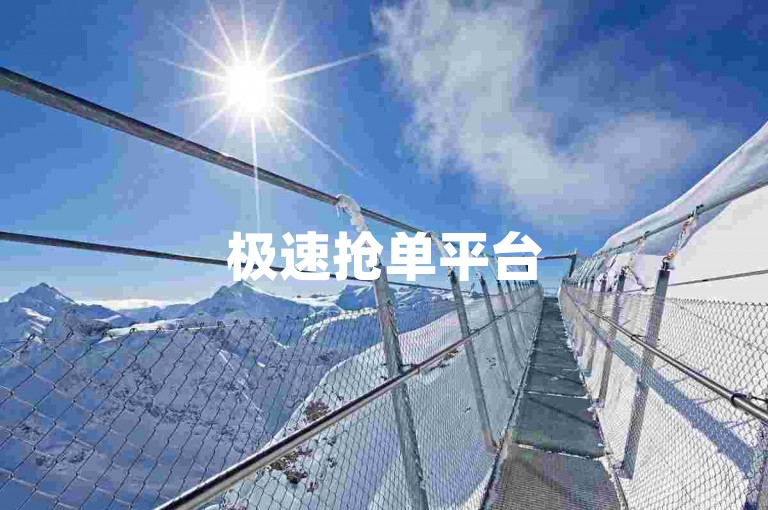 极速抢单平台