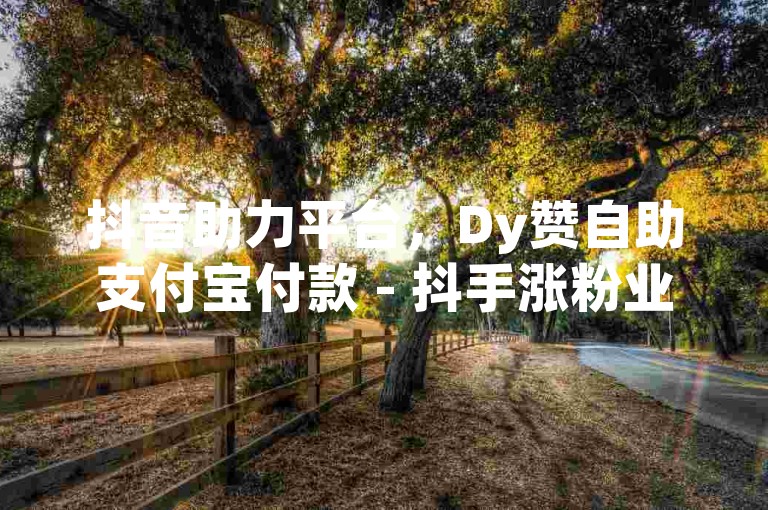 抖音助力平台，Dy赞自助支付宝付款 - 抖手涨粉业务 - 抖音全天在线服务