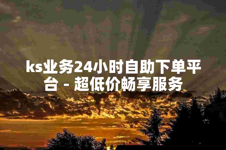 ks业务24小时自助下单平台 - 超低价畅享服务