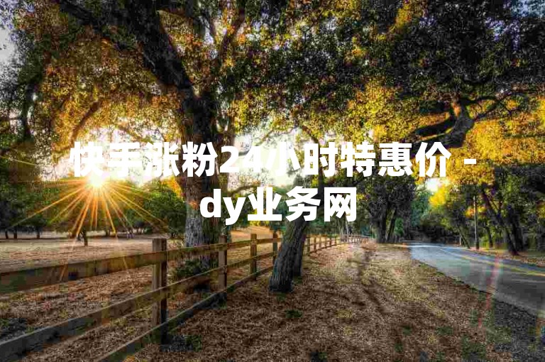 快手涨粉24小时特惠价 - dy业务网