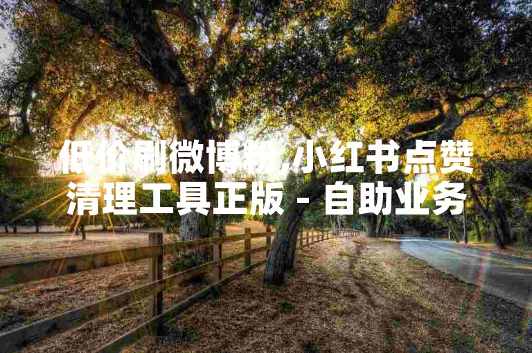 低价刷微博粉,小红书点赞清理工具正版 - 自助业务平台 - 知乎点赞需支付宝付款