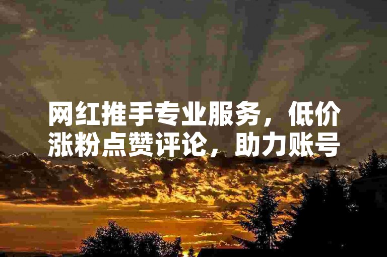 网红推手专业服务，低价涨粉点赞评论，助力账号火爆全网！