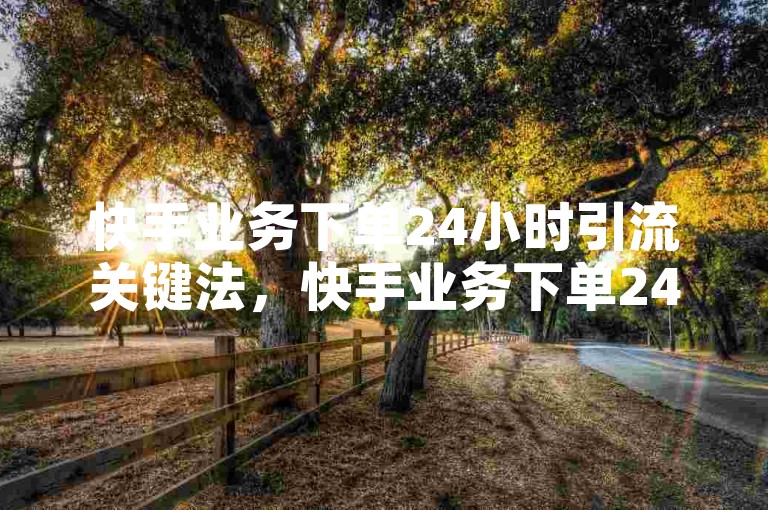 快手业务下单24小时引流关键法，快手业务下单24h内吸引流量！新手必知！