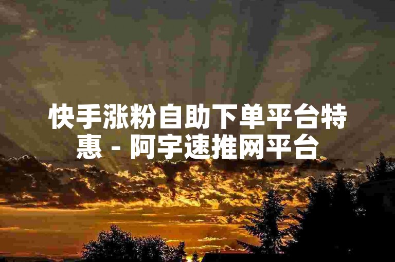 快手涨粉自助下单平台特惠 - 阿宇速推网平台