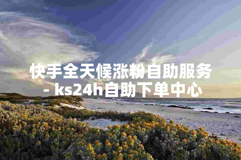 快手全天候涨粉自助服务 - ks24h自助下单中心