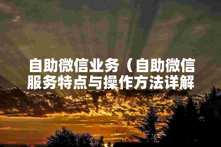 自助微信业务（自助微信服务特点与操作方法详解）