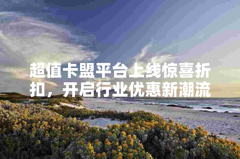 超值卡盟平台上线惊喜折扣，开启行业优惠新潮流